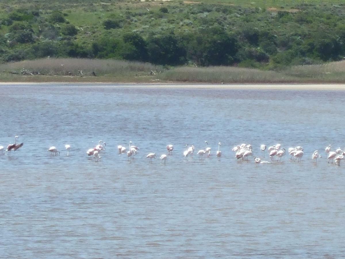 Lagoon'S Edge Fisherhaven Bagian luar foto