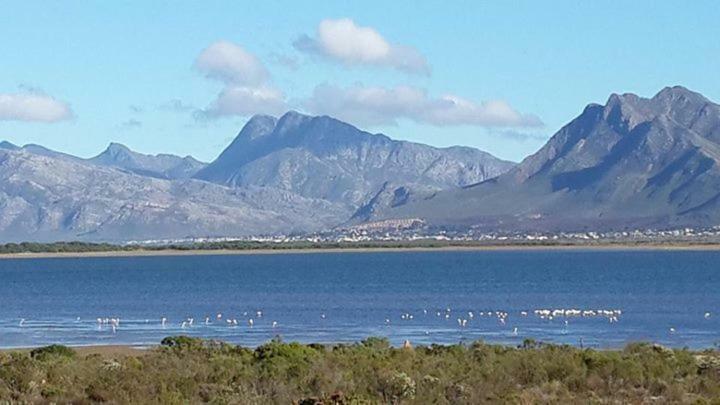 Lagoon'S Edge Fisherhaven Bagian luar foto
